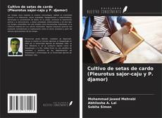 Buchcover von Cultivo de setas de cardo (Pleurotus sajor-caju y P. djamor)