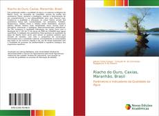 Riacho do Ouro, Caxias, Maranhão, Brasil kitap kapağı