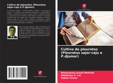 Copertina di Cultivo de pleurotos (Pleurotus sajor-caju e P.djamor)