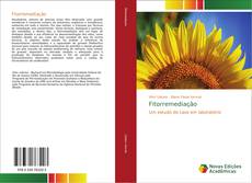 Fitorremediação kitap kapağı