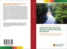 Обложка Sedimentação Atual do Estuário do Rio Formoso - PE (Brasil)