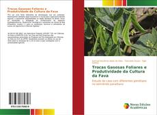 Buchcover von Trocas Gasosas Foliares e Produtividade da Cultura da Fava