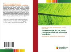Buchcover von Fitorremediação de solos contaminados por chumbo e cádmio