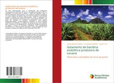 Capa do livro de Isolamento de bactéria endofítica produtora de Levana 