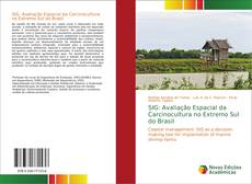 Capa do livro de SIG: Avaliação Espacial da Carcinocultura no Extremo Sul do Brasil 