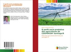 O perfil socio produtivo dos agricultores da COOPERSAF Santiago/R kitap kapağı