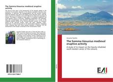 The Somma-Vesuvius medieval eruptive activity kitap kapağı
