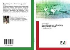 Copertina di Report Integrato e Gestione Integrata dei Rischi