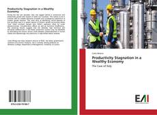 Buchcover von Productivity Stagnation in a Wealthy Economy