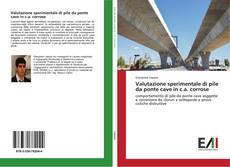 Bookcover of Valutazione sperimentale di pile da ponte cave in c.a. corrose