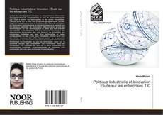 Politique Industrielle et Innovation : Étude sur les entreprises TIC kitap kapağı