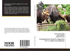 Capa do livro de sonagraphical study for diagnosis UTI in cattle and buffaloes 