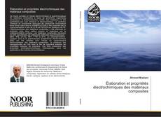 Bookcover of Élaboration et propriétés électrochimiques des matériaux composites