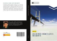 Capa do livro de 斜拉桥预应力混凝土索塔关键问题研究 