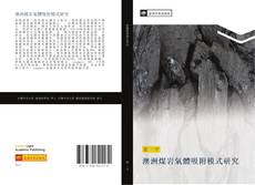 Portada del libro de 澳洲煤岩氣體吸附模式研究