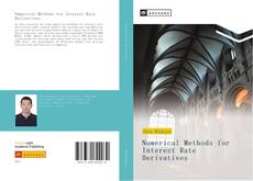 Capa do livro de Numerical Methods for Interest Rate Derivatives 