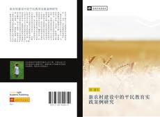 Bookcover of 新农村建设中的平民教育实践案例研究