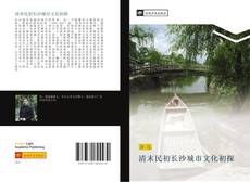 Capa do livro de 清末民初长沙城市文化初探 