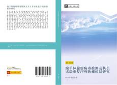 Bookcover of 绵羊肺腺瘤病毒检测及其长末端重复序列致瘤机制研究