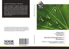 Bookcover of Somatic Embryogenesis in Strawberry