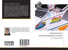 Analyse Et Diagnostic Financier kitap kapağı