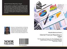 Bookcover of Internet Financial Reporting in Egypt