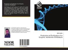 Capa do livro de Production et Purification d’un Enzyme, recherche d’Inhibiteurs 
