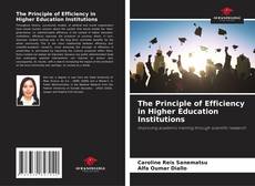 Buchcover von The Principle of Efficiency in Higher Education Institutions