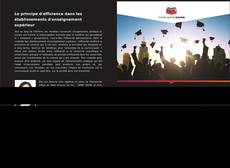 Couverture de Le principe d'efficience dans les établissements d'enseignement supérieur