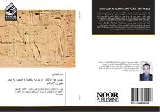 Capa do livro de موسوعة الأفكار الرمزية بالعمارة المصرية بعد دخول الإسلام 