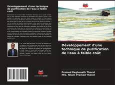 Couverture de Développement d'une technique de purification de l'eau à faible coût