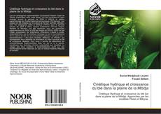 Bookcover of Cinétique hydrique et croissance du blé dans la plaine de la Mitidja