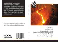 Buchcover von Décapage Chimique: Optimisation des consommations d'acide et d'énergie