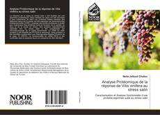 Bookcover of Analyse Protéomique de la réponse de Vitis vinifera au stress salin