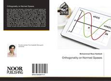 Copertina di Orthogonality on Normed Spases