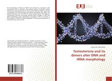 Copertina di Testosterone and its dimers alter DNA and tRNA morphology