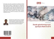 Etude géochimique par pyrolyse Rock Eval-6的封面