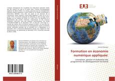 Buchcover von Formation en économie numérique appliquée:
