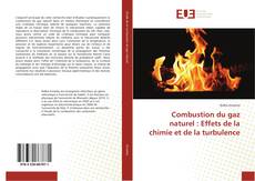 Portada del libro de Combustion du gaz naturel : Effets de la chimie et de la turbulence