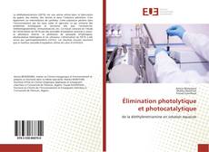 Élimination photolytique et photocatalytique kitap kapağı