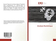 Analyse Numérique kitap kapağı