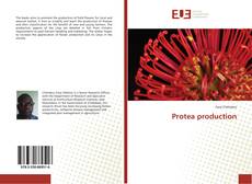 Bookcover of Protea production