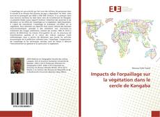 Capa do livro de Impacts de l'orpaillage sur la végétation dans le cercle de Kangaba 