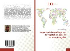 Impacts de l'orpaillage sur la végétation dans le cercle de Kangaba kitap kapağı