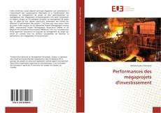 Capa do livro de Performances des mégaprojets d'investissement 