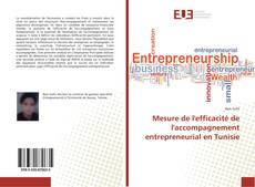 Capa do livro de Mesure de l'efficacité de l'accompagnement entrepreneurial en Tunisie 
