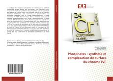 Bookcover of Phosphates : synthèse et complexation de surface du chrome (VI)