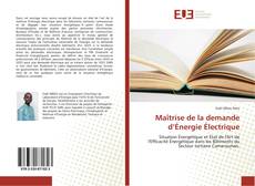 Bookcover of Maîtrise de la demande d’Énergie Électrique