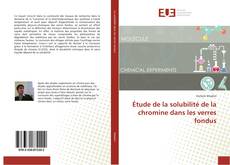 Bookcover of Étude de la solubilité de la chromine dans les verres fondus