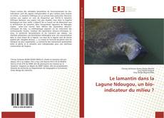 Borítókép a  Le lamantin dans la Lagune Ndougou, un bio-indicateur du milieu ? - hoz